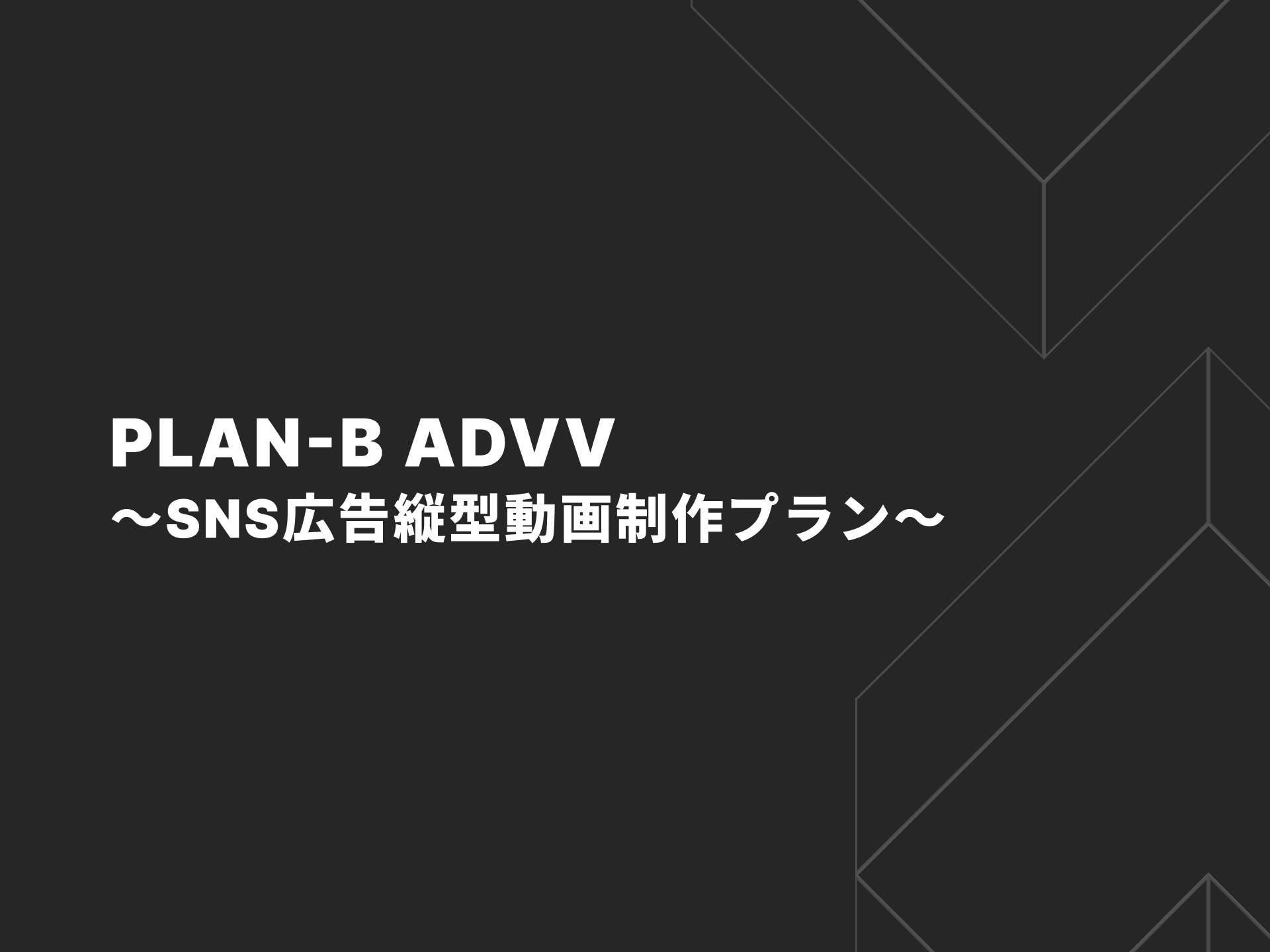 PLAN-B ADVV～SNS広告縦型動画制作プラン～