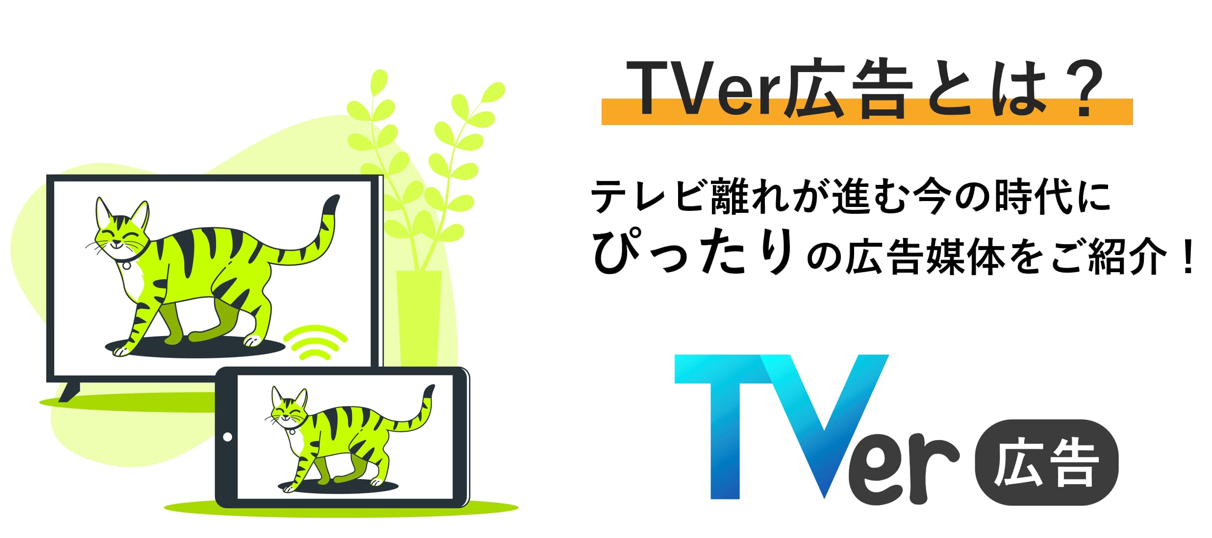 Tver広告とは？テレビ離れが進む今の時代にぴったりの広告媒体をご紹介！